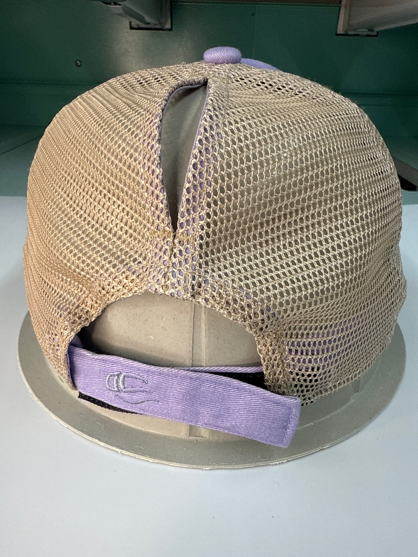 Compass Ponytail Back